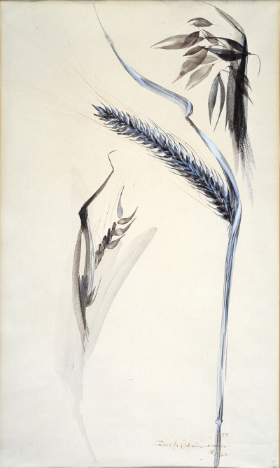 Alan Reynolds, Studies for Painting Oats 11, 1954